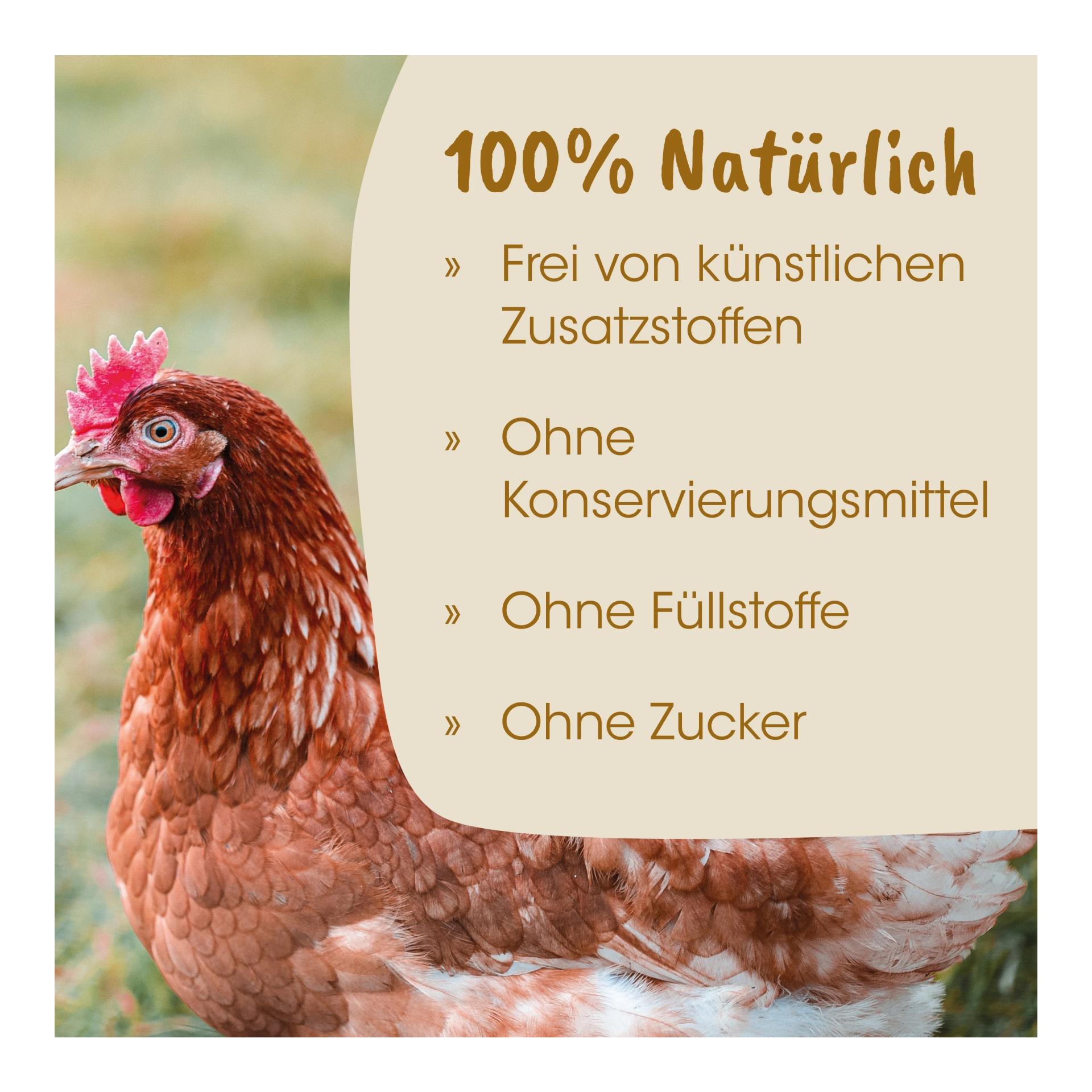 cdVet priVet KamelFit