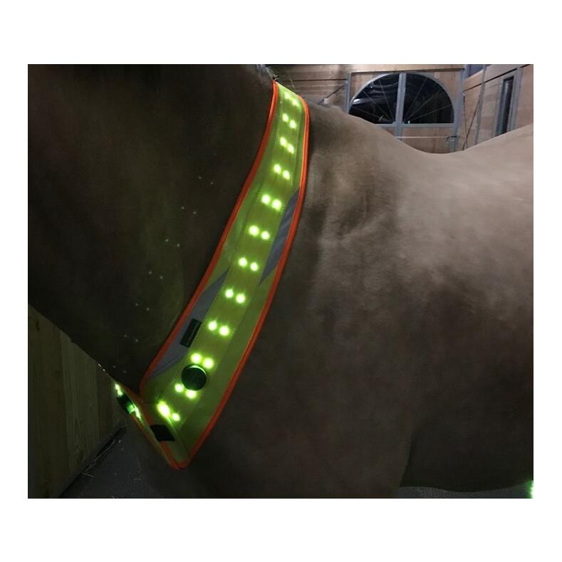 Animal Light LED Leuchthalsriemen 2.0 - gelb