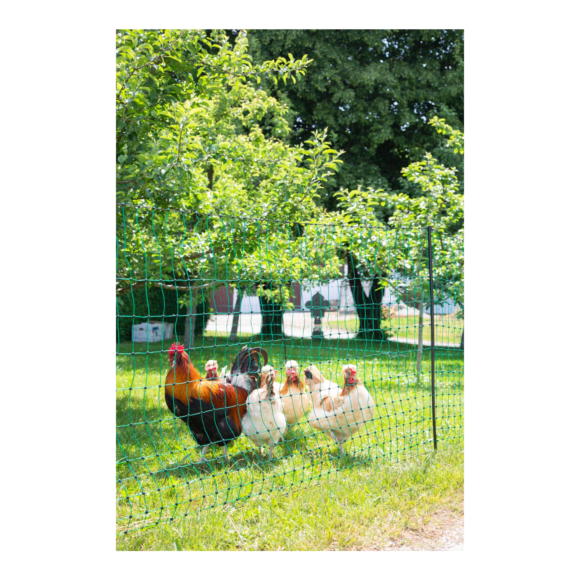 AKO Geflügelnetz PoultryNet - Doppelspitz