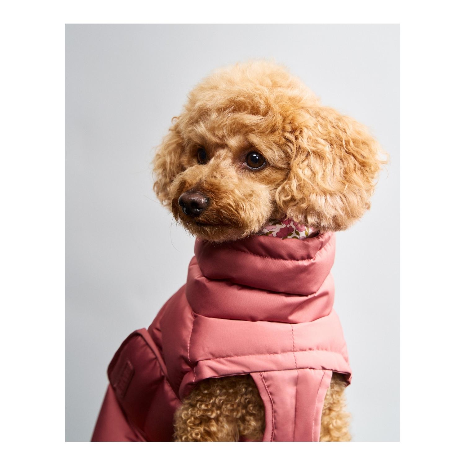 Cloud 7 Manteau d'hiver pour chien Alaska