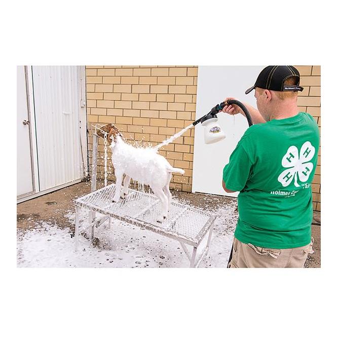 Weaver Livestock Mild Foam Shampoo