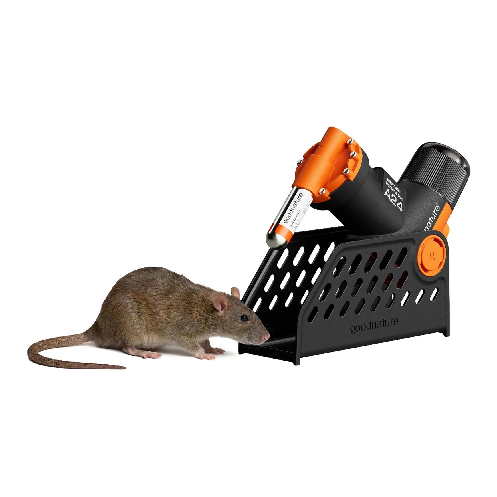 GoodNature A24 Smart Ratten- und Mäusefallen-Kit