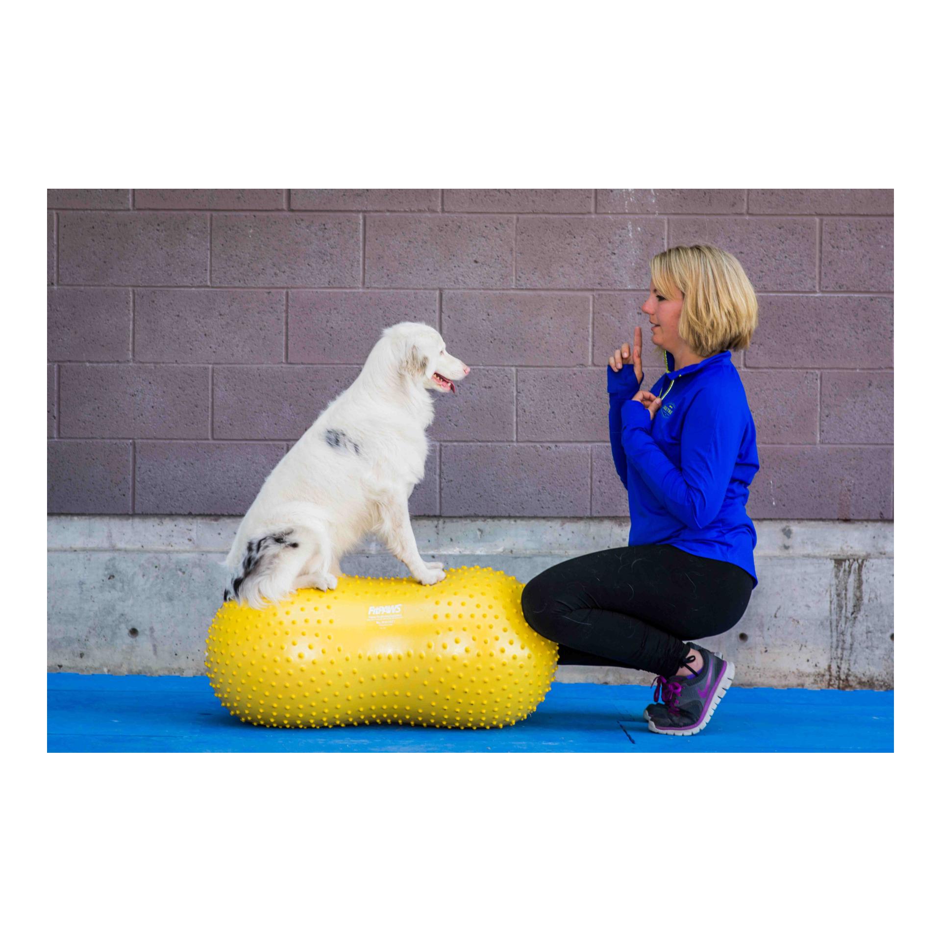 FitPaws TRAX Peanut
