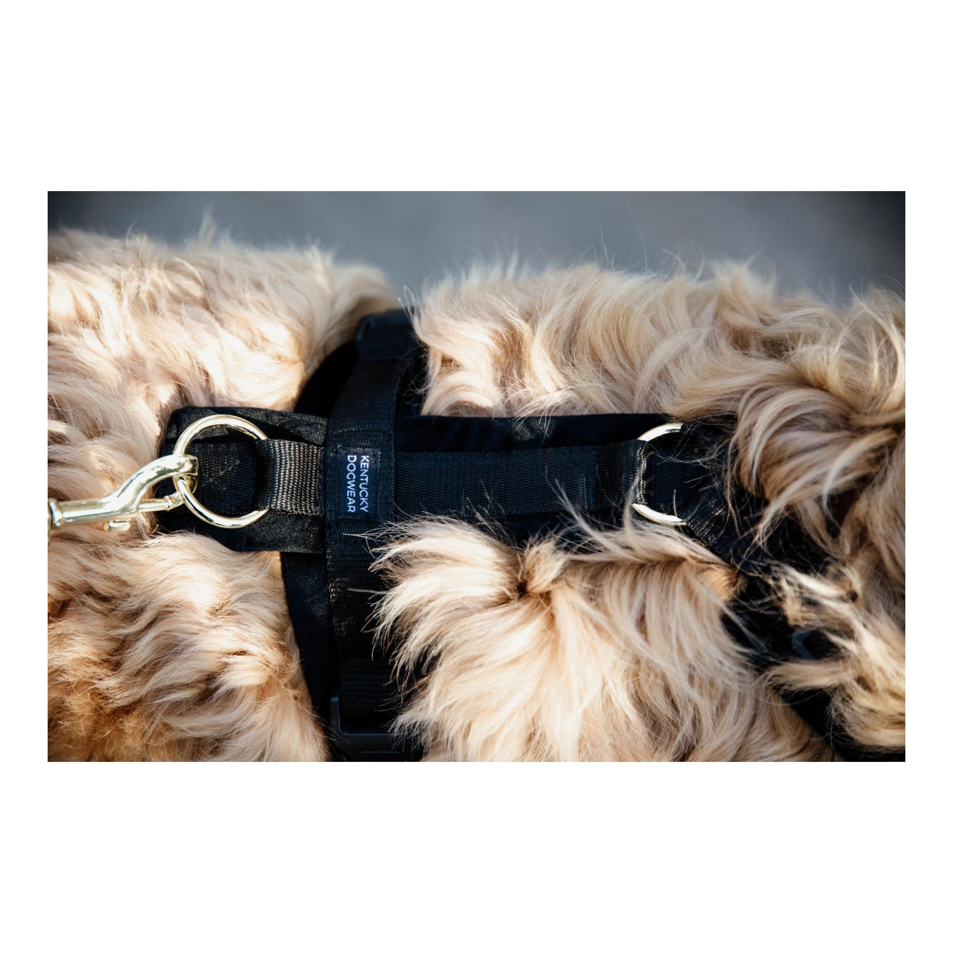 Kentucky Dogwear Hundegeschirr Active Velvet