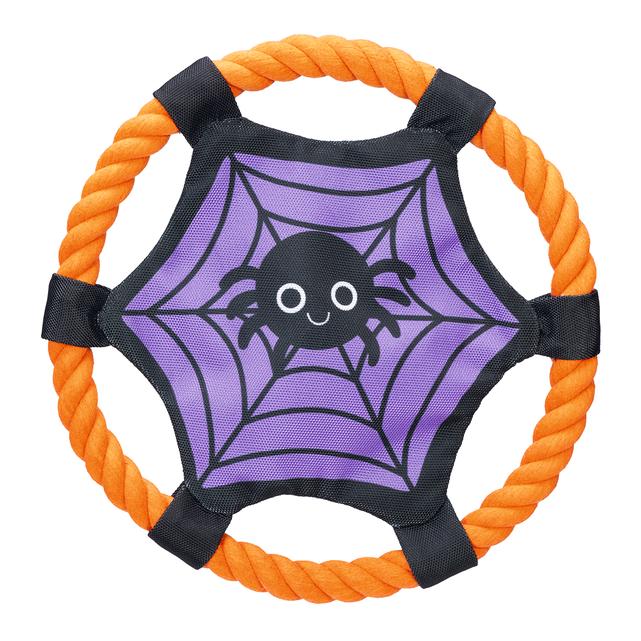 Beeztees Jouet pour chien « Toile d'araignée d'Halloween »