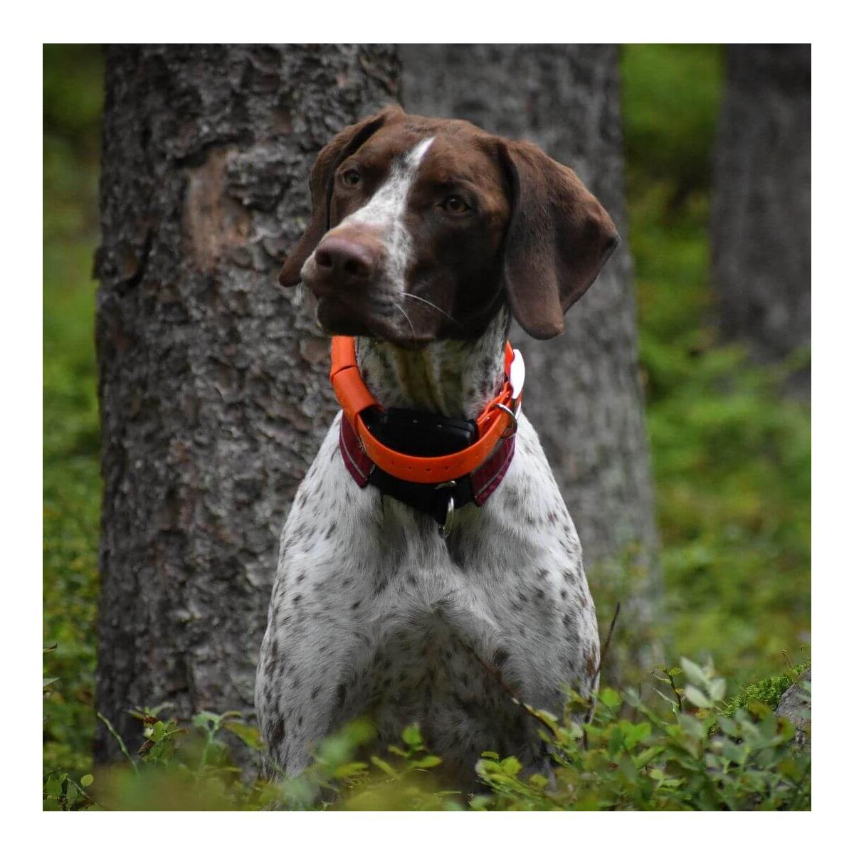 Dogtrace GPS X20 Hundeortungsgerät