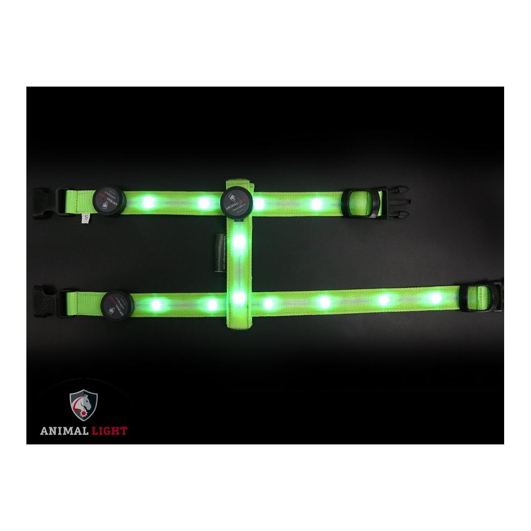 Animal Light Harnais lumineux pour chien "Ninja" - vert