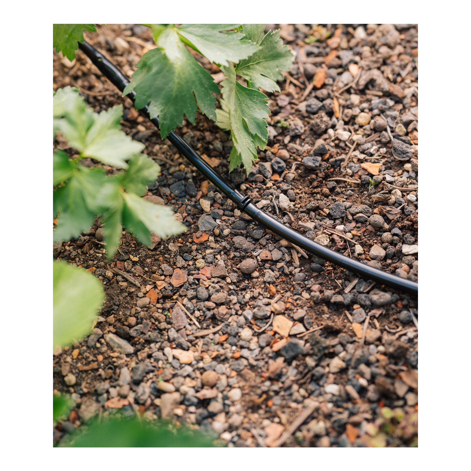 Geka Drip-Set Arrosage des légumes et des parterres de fleurs