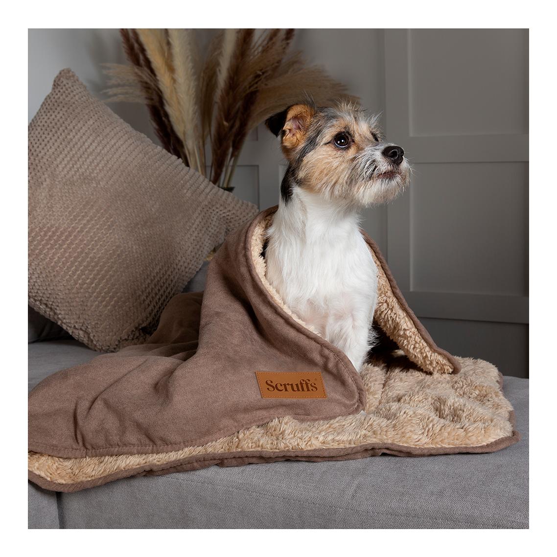Scruffs Kuscheldecke für Hunde