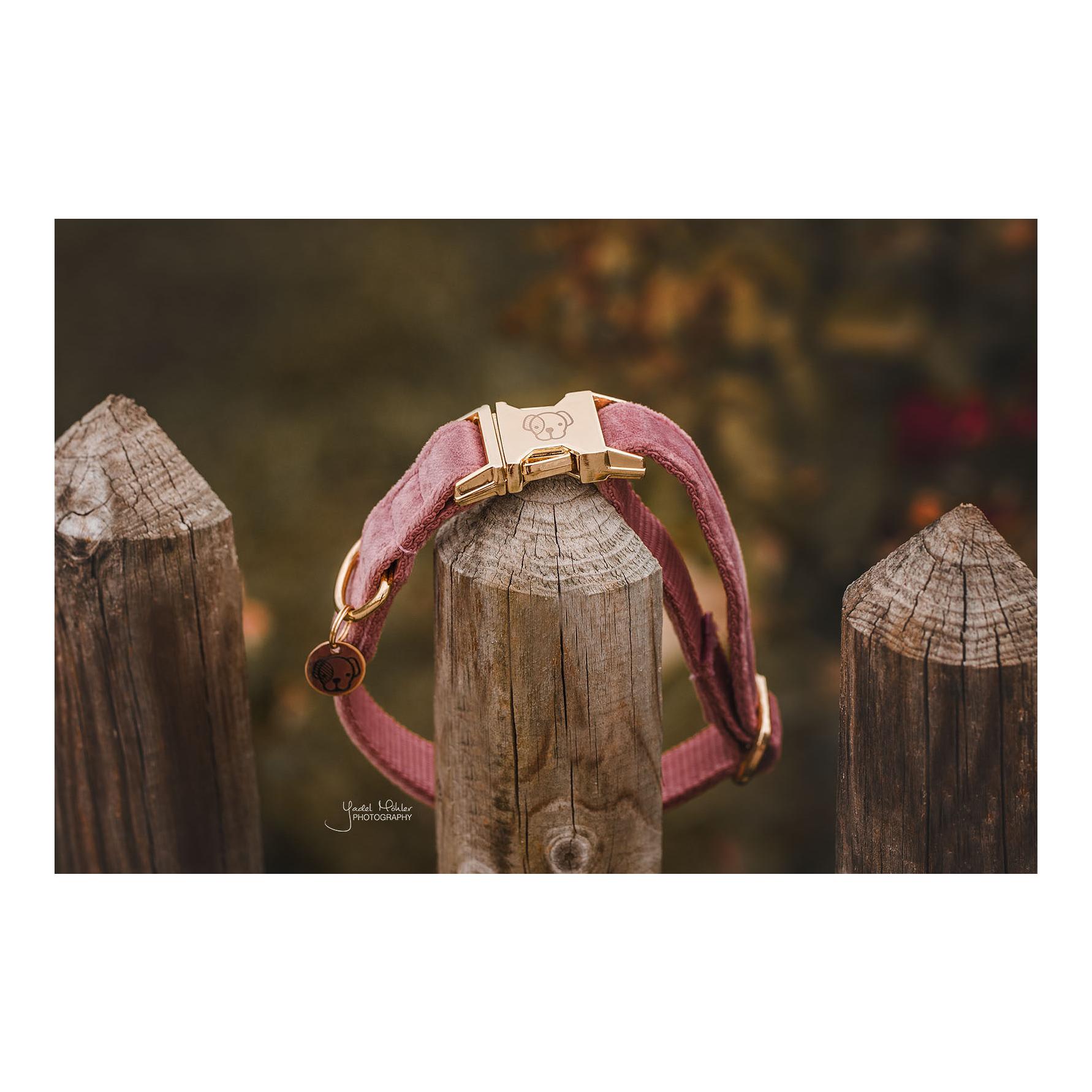 Kentucky Dogwear Collier pour chien velours - vieux rose