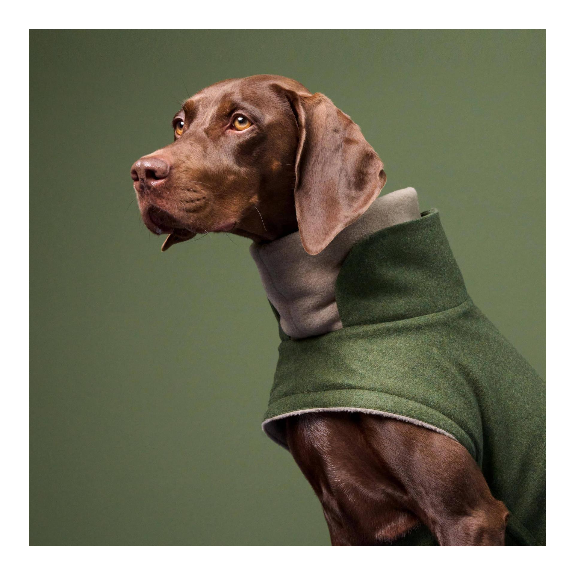 Cloud 7 Hundemantel Brooklyn Regulär - fern green