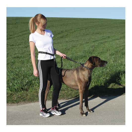 Kerbl Pet Laisse de jogging Active avec ceinture