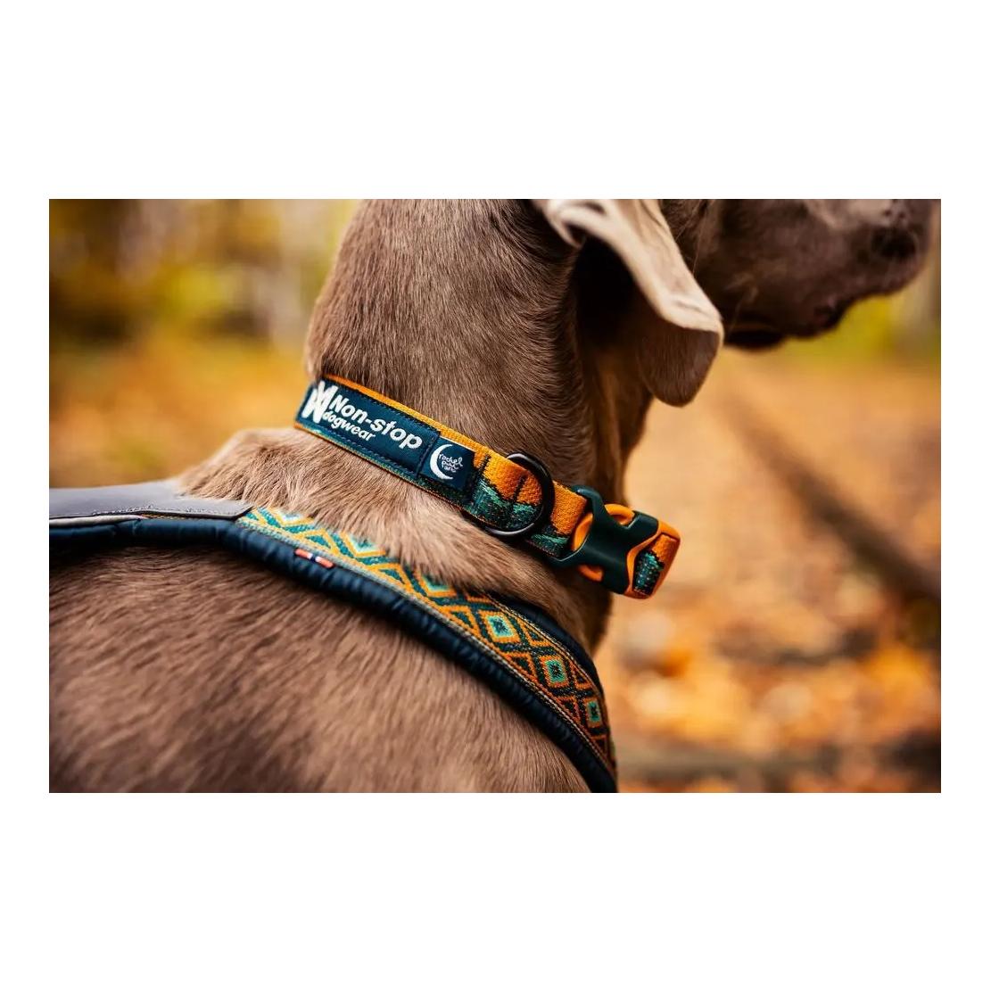 Non-stop Dogwear Collier pour chien Trail Quest Collar Rachel Pohl Edition