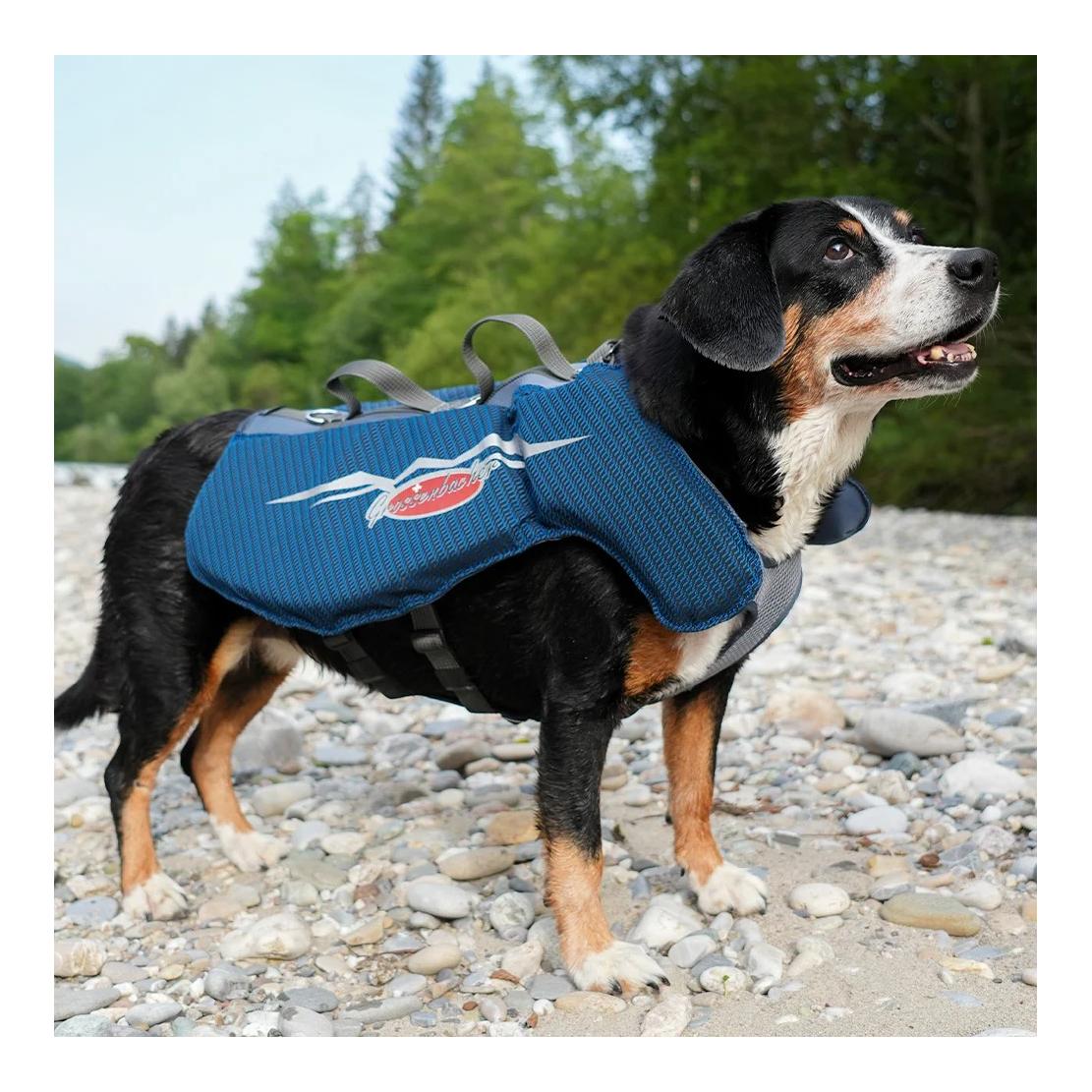 Beat Grossenbacher Schwimmweste für Hunde