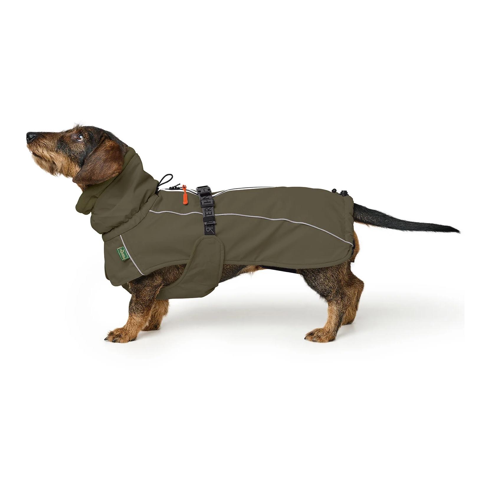 Hunter Manteau pour chien Nordby Dachshund