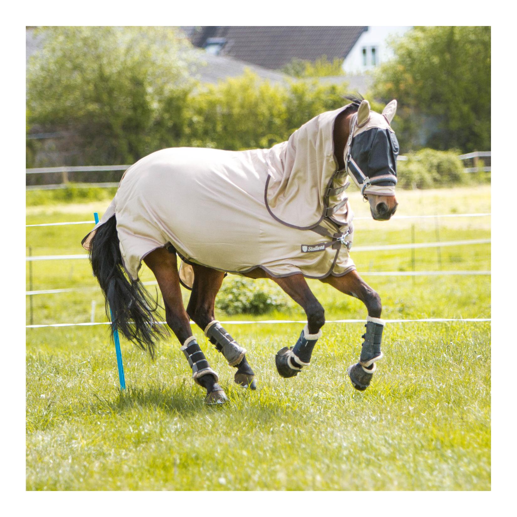 Stallone Halsteil Summer Guard
