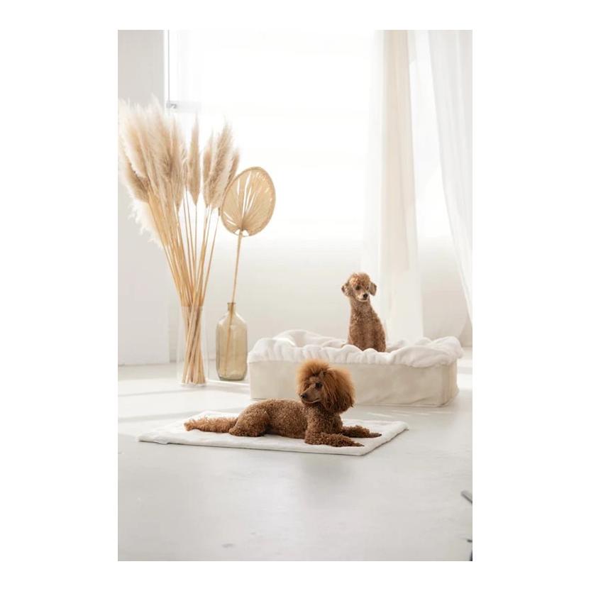 Dogspring by MAUL Hundebett Buddelbox® - creme