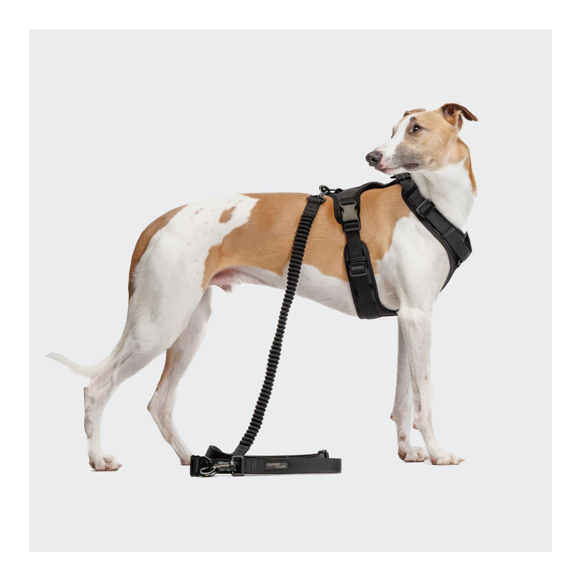 Cloud 7 Y-3-Hundegeschirr