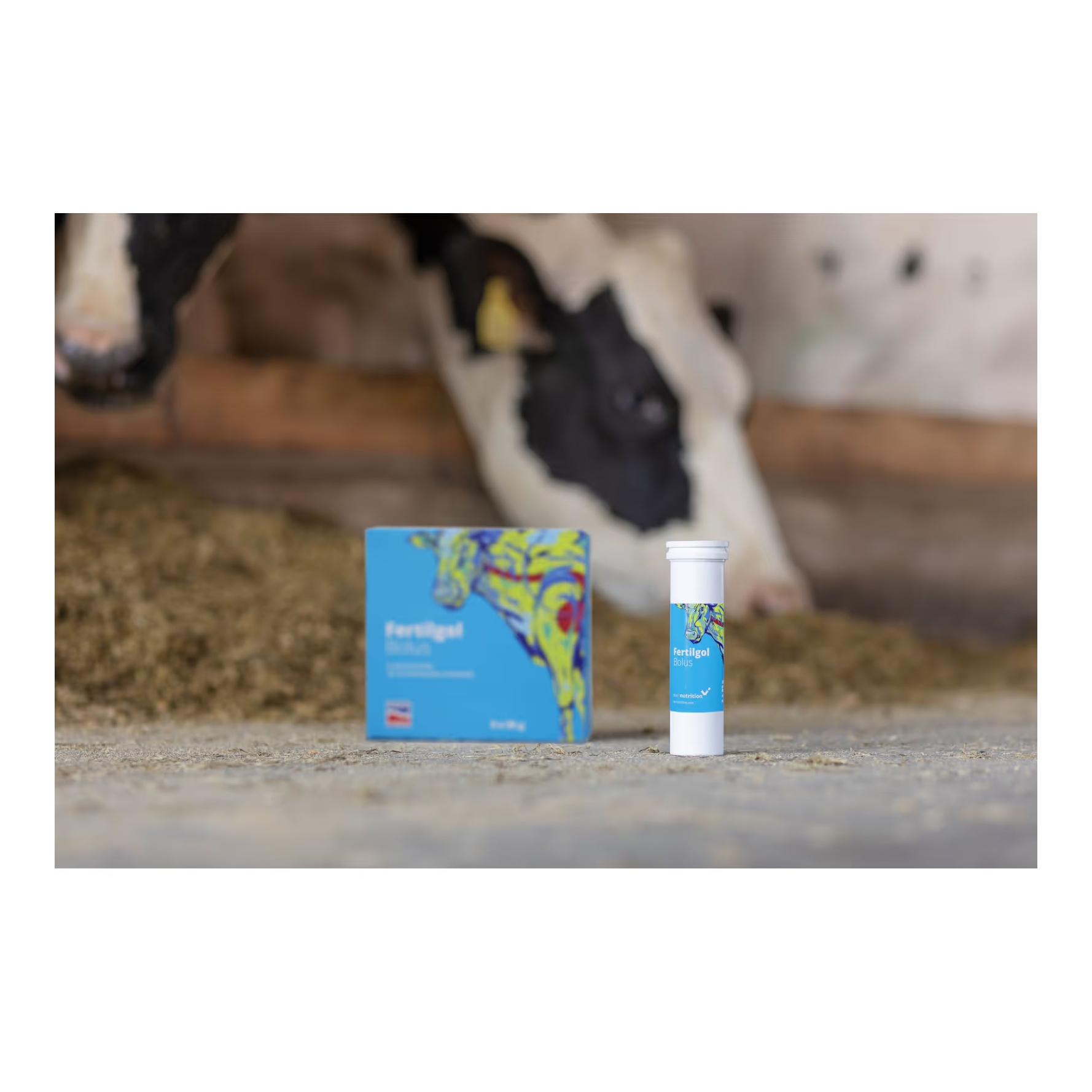 AgroChemica Fertilgol Bolus - Bolus au bêta-carotène (fertilité)