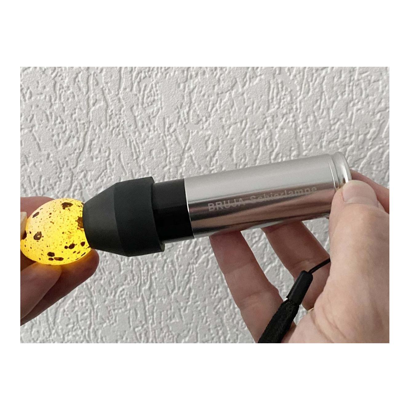 Siepmann LED-Schierlampe