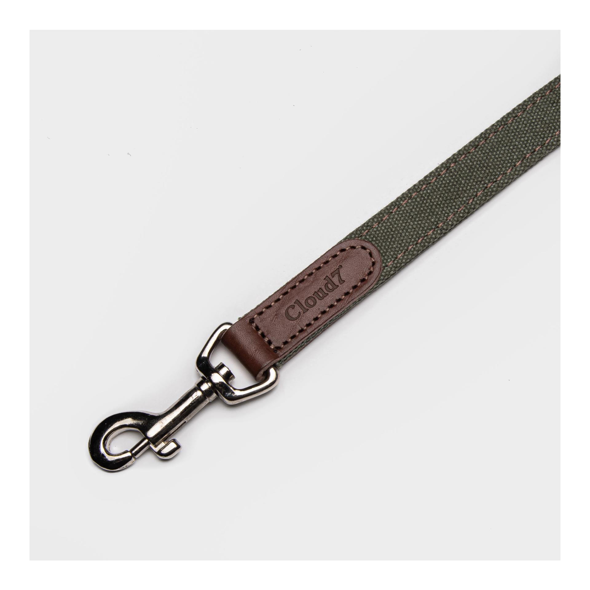 Cloud 7 Hundeleine Tivoli - olive
