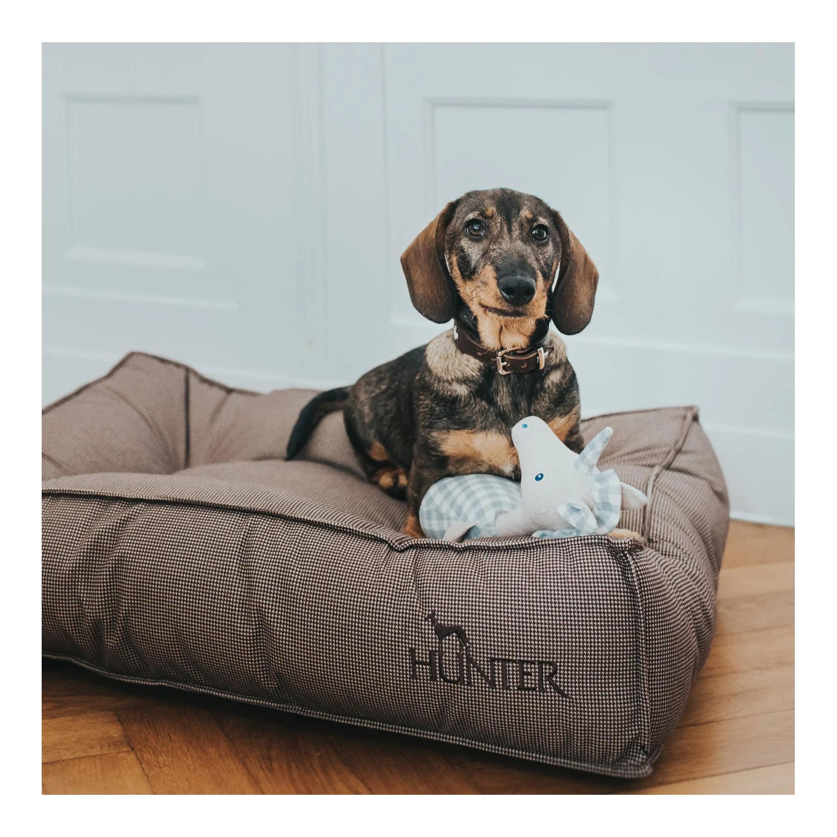 Hunter Hunde-Steppbett Lancaster