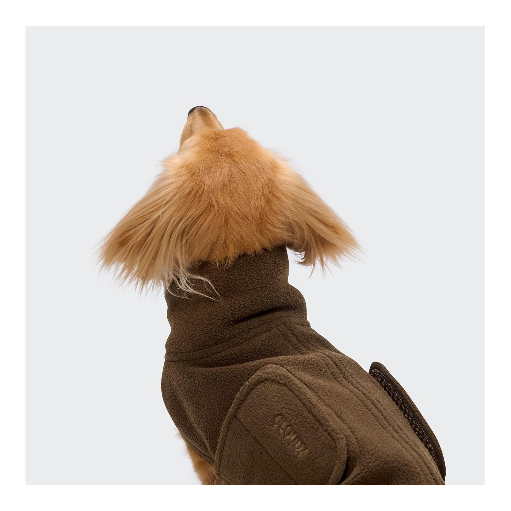 Cloud 7 Hundepullover Derby 2.0 Dackel soft Fleece