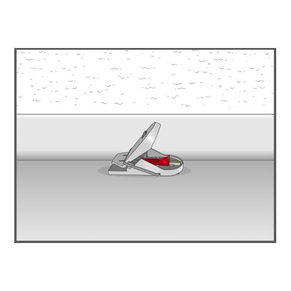 SWISSINNO Piège à souris PRO Supercat, appât inclus