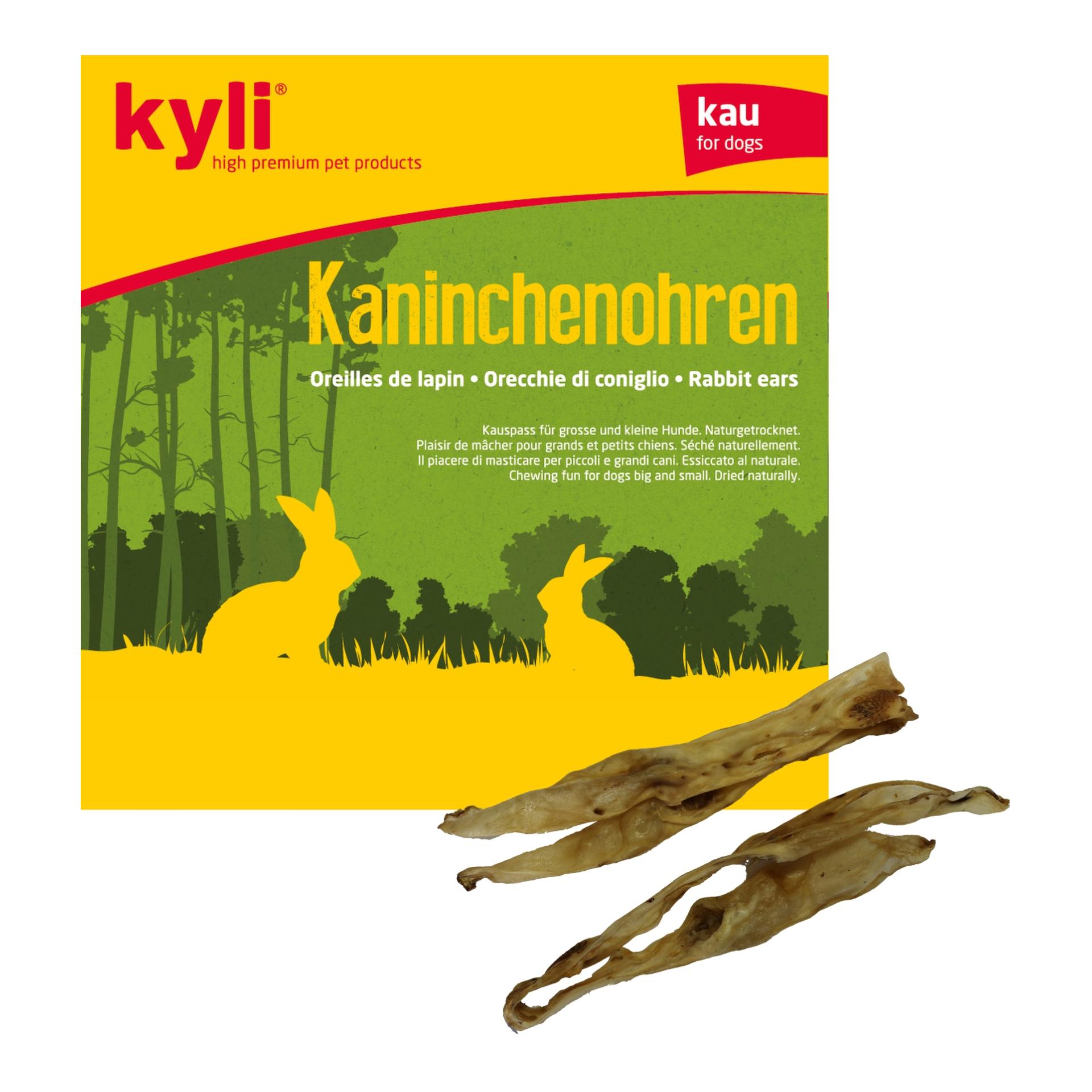 Kyli Kaninchenohren