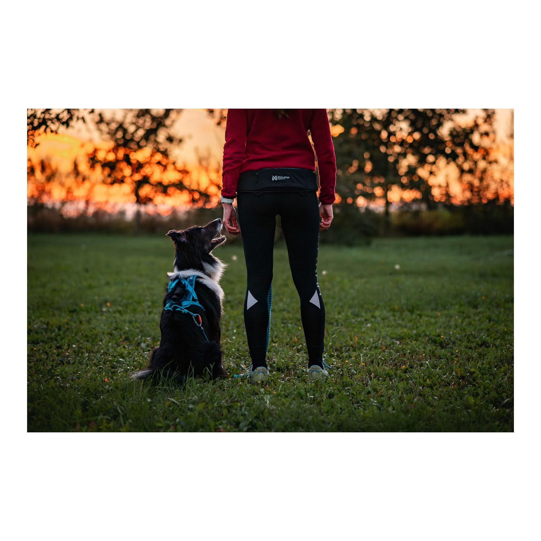 Non-stop Dogwear Rush Belt