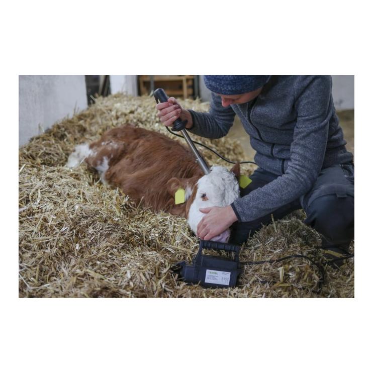 Kerbl Décornateur avec transformateur 24 V / 250 W