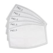 Hauptner Filter für Stoffmasken (5er Pack) Weiss
