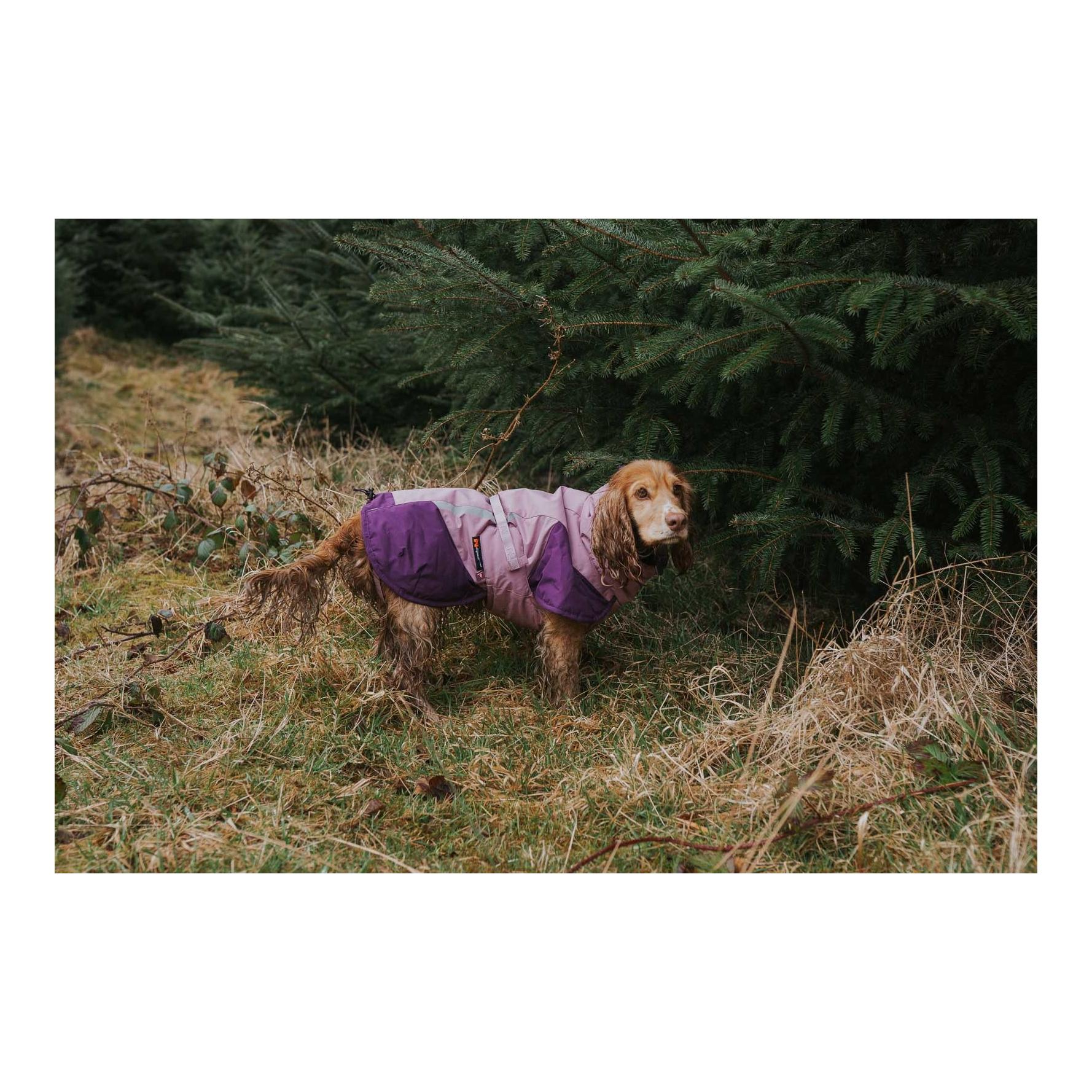 Non-stop Dogwear Veste d'hiver pour chien Glacier jacket 3.0