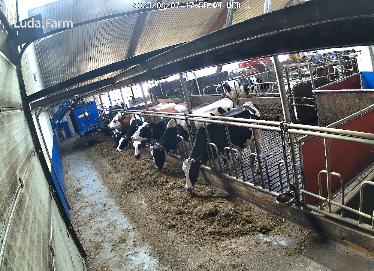 LudaFarm FarmCam Flex 5MP - Kit de démarrage