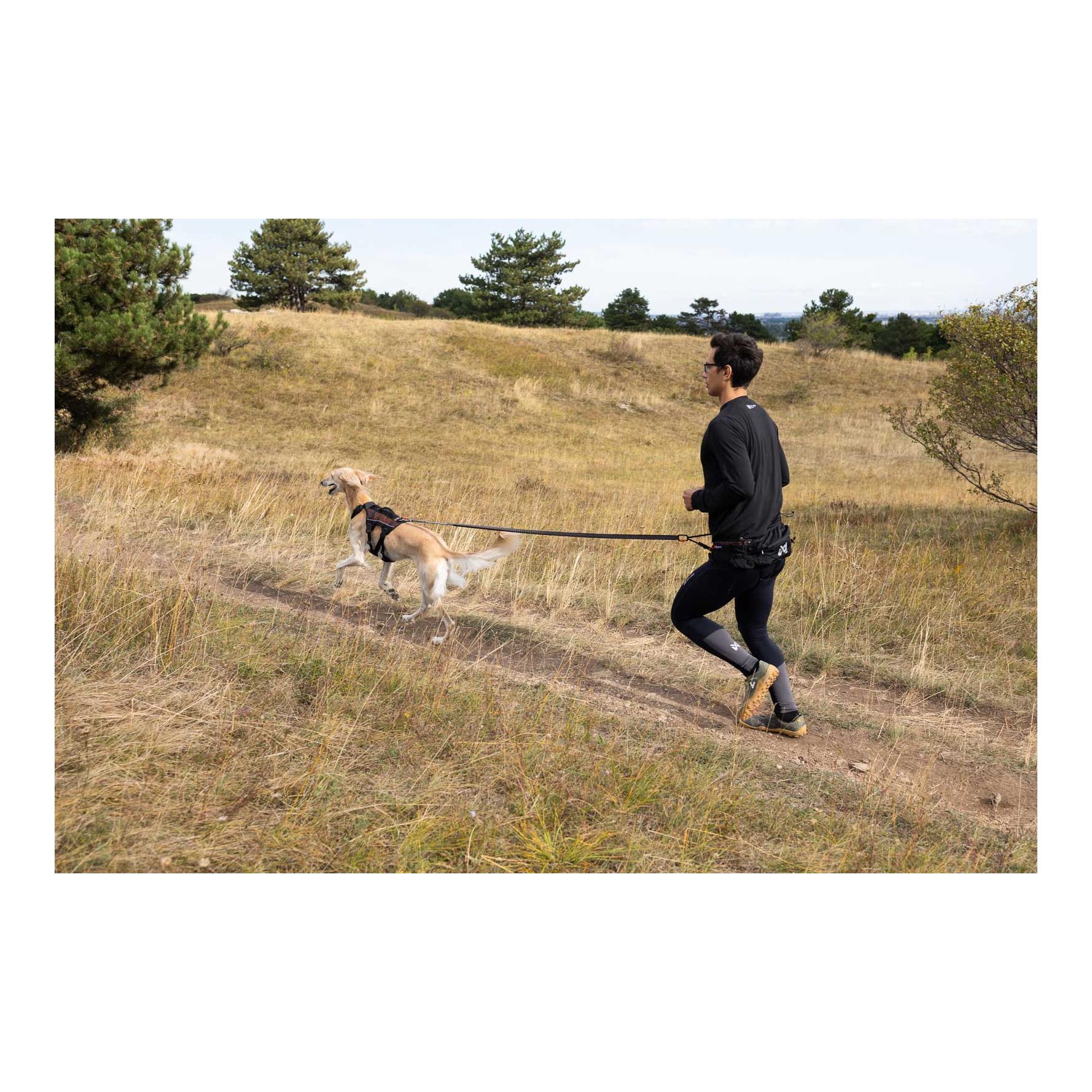 Non-stop Dogwear Trail Light Belt