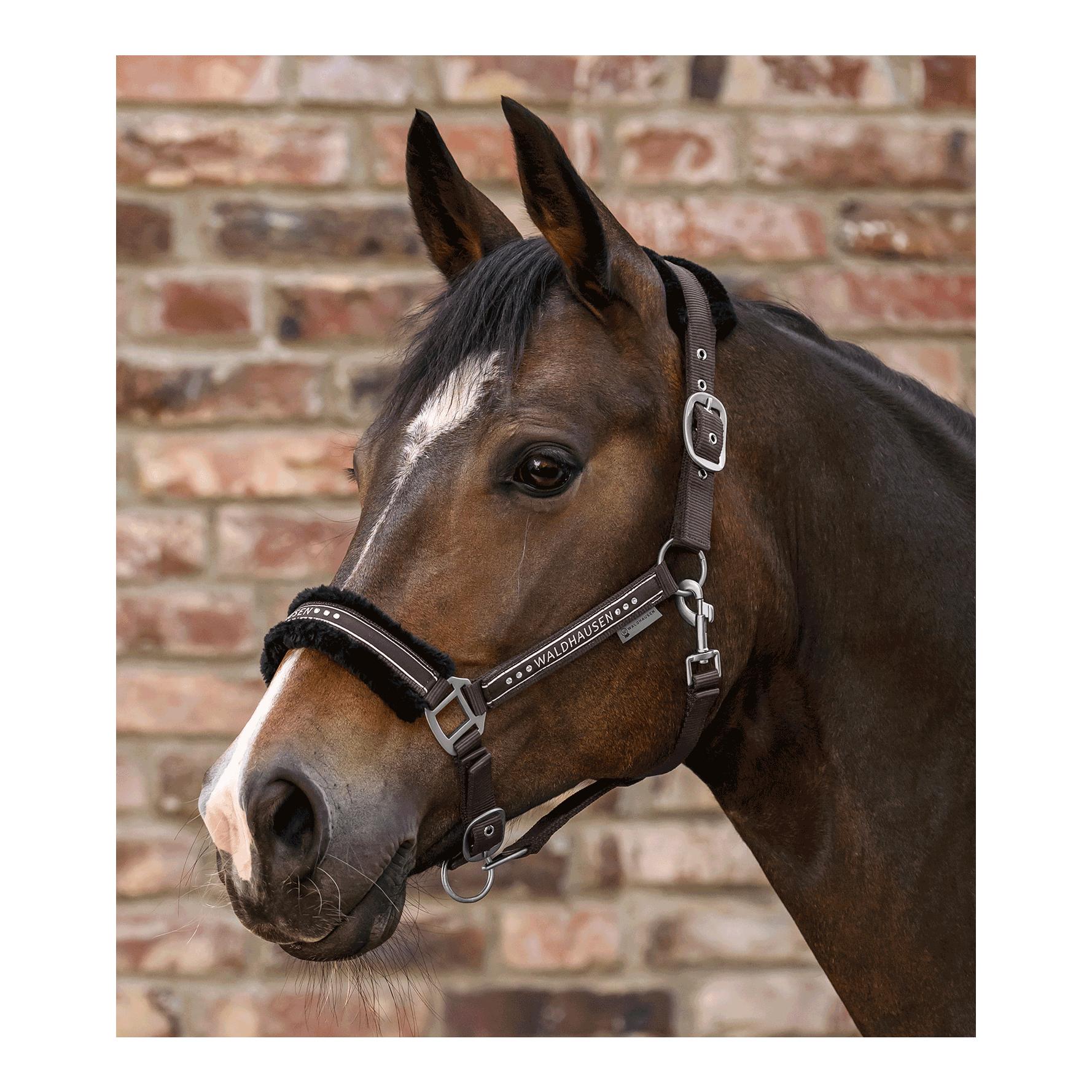 Waldhausen Licol Elegant - noir