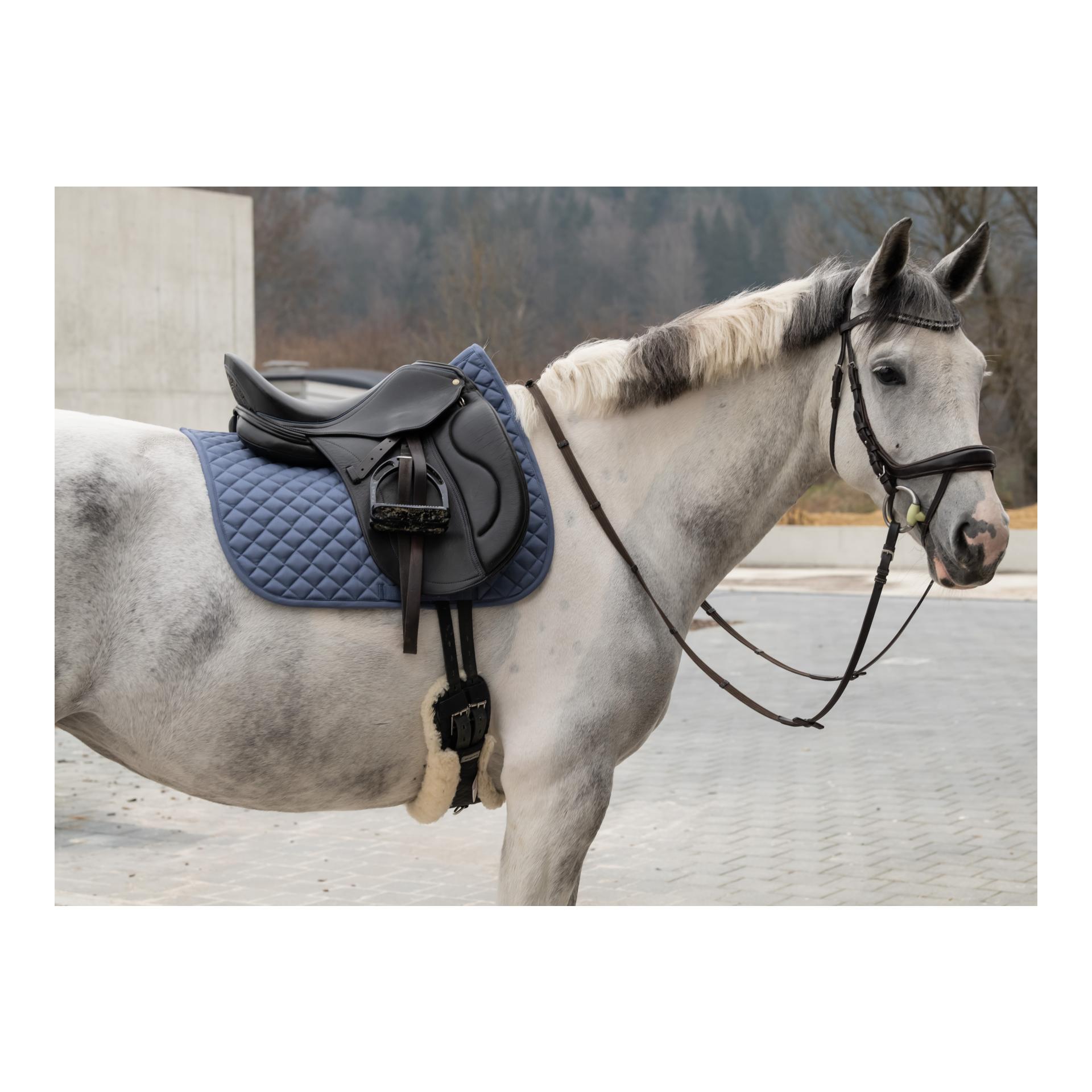 Marengo Schabracke Basic