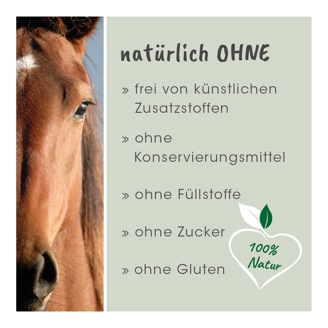 cdVet Tourteau de lin biologique EquiGreen