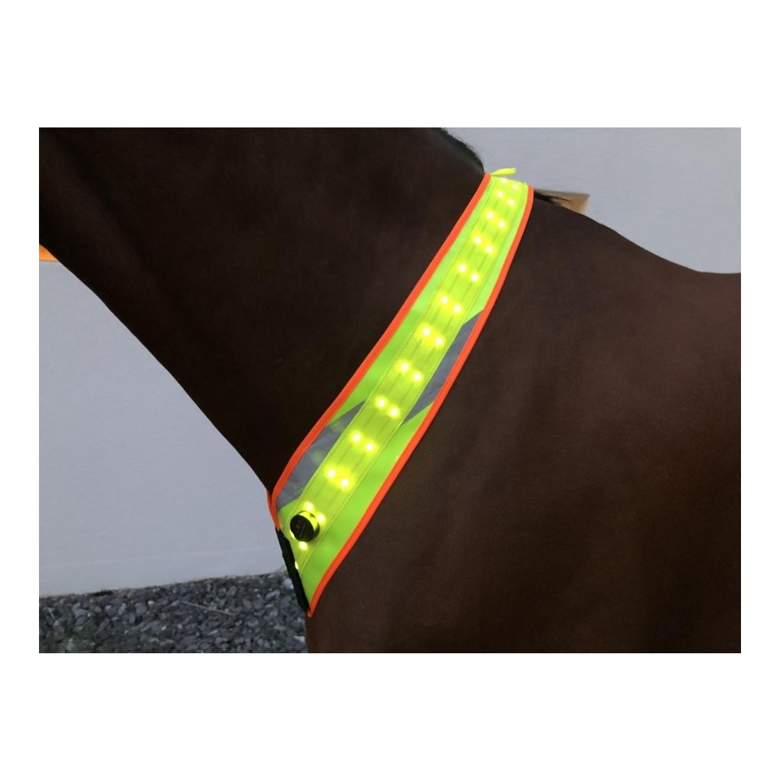 Animal Light LED Leuchthalsriemen 2.0 Gelb
