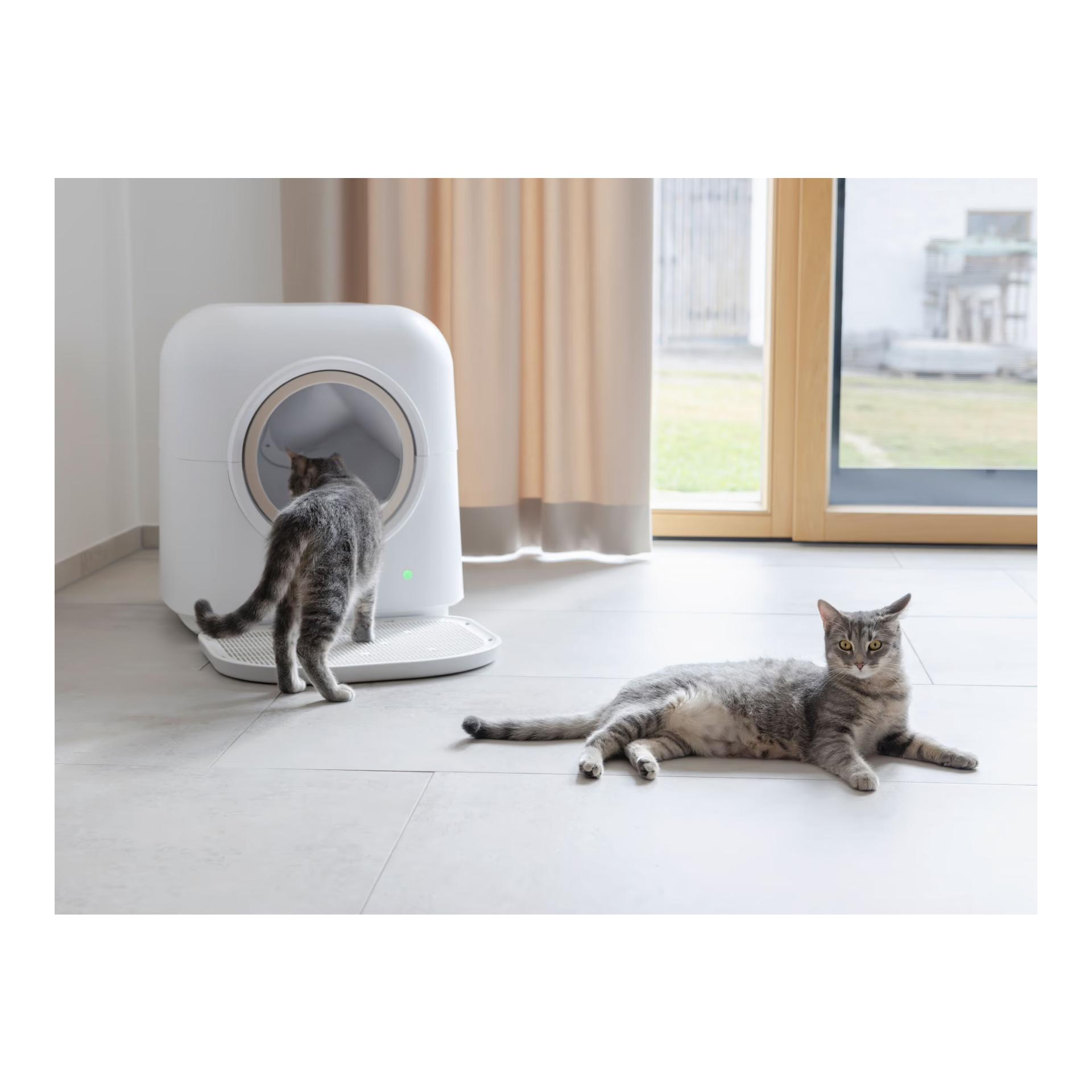 Kerbl Pet Katzentoilette Smart, selbstreinigend