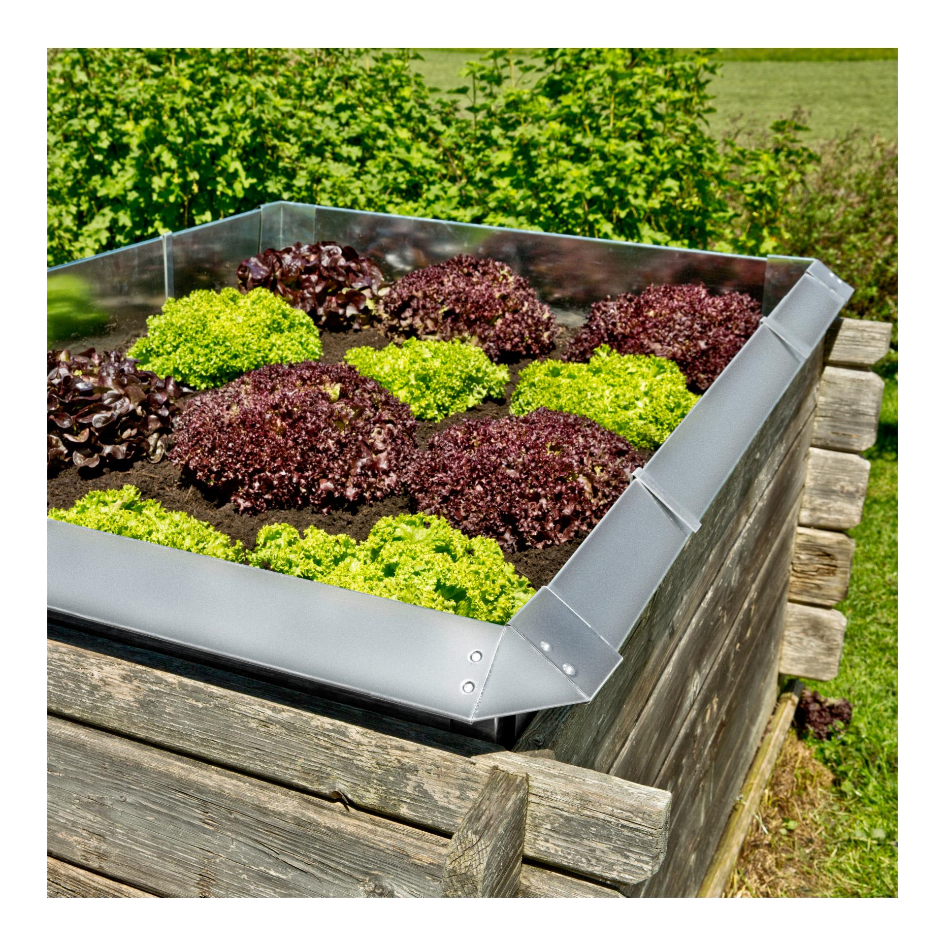 Windhager Paroi pour barrière à limaces - mur