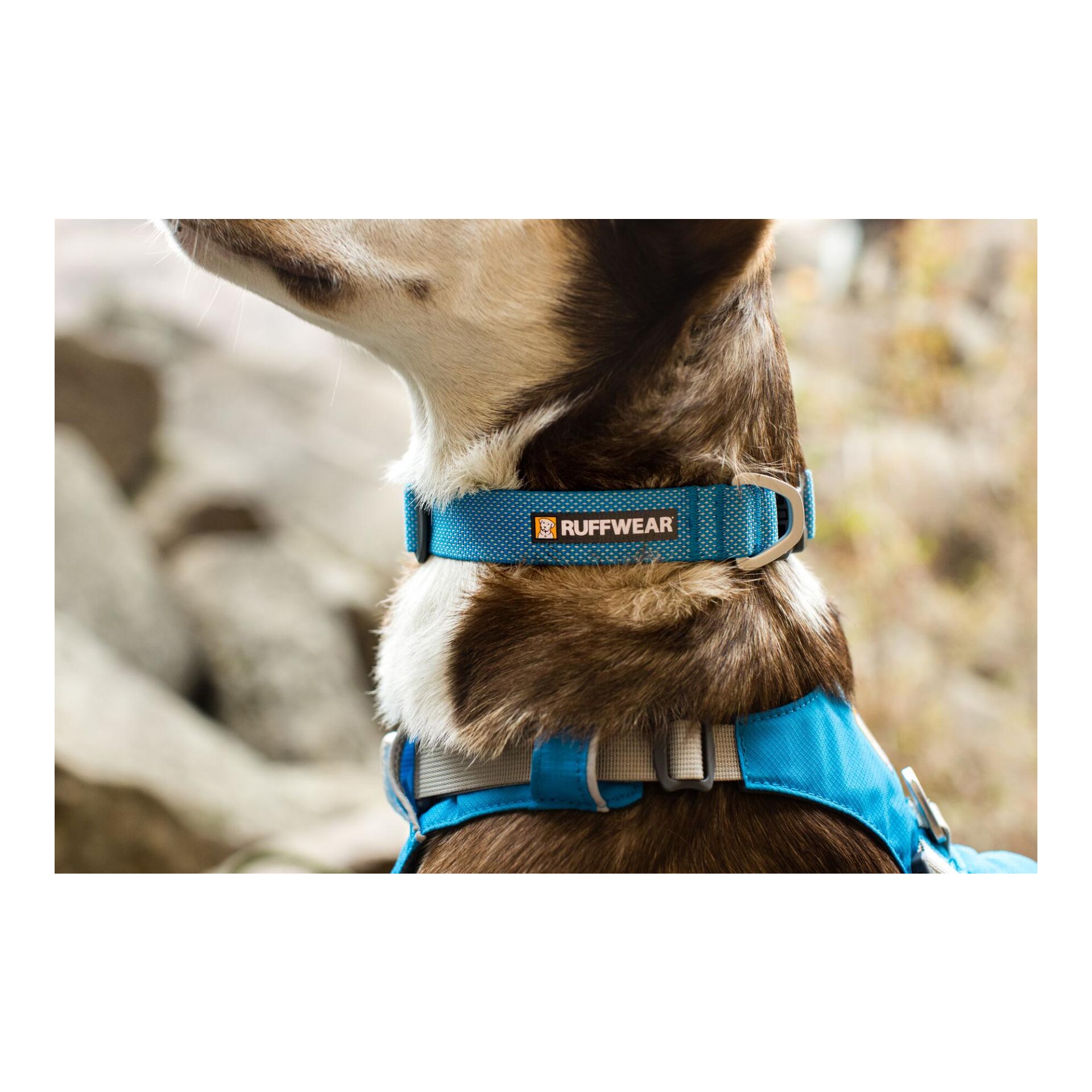 Ruffwear Collier Hi &amp; Light™