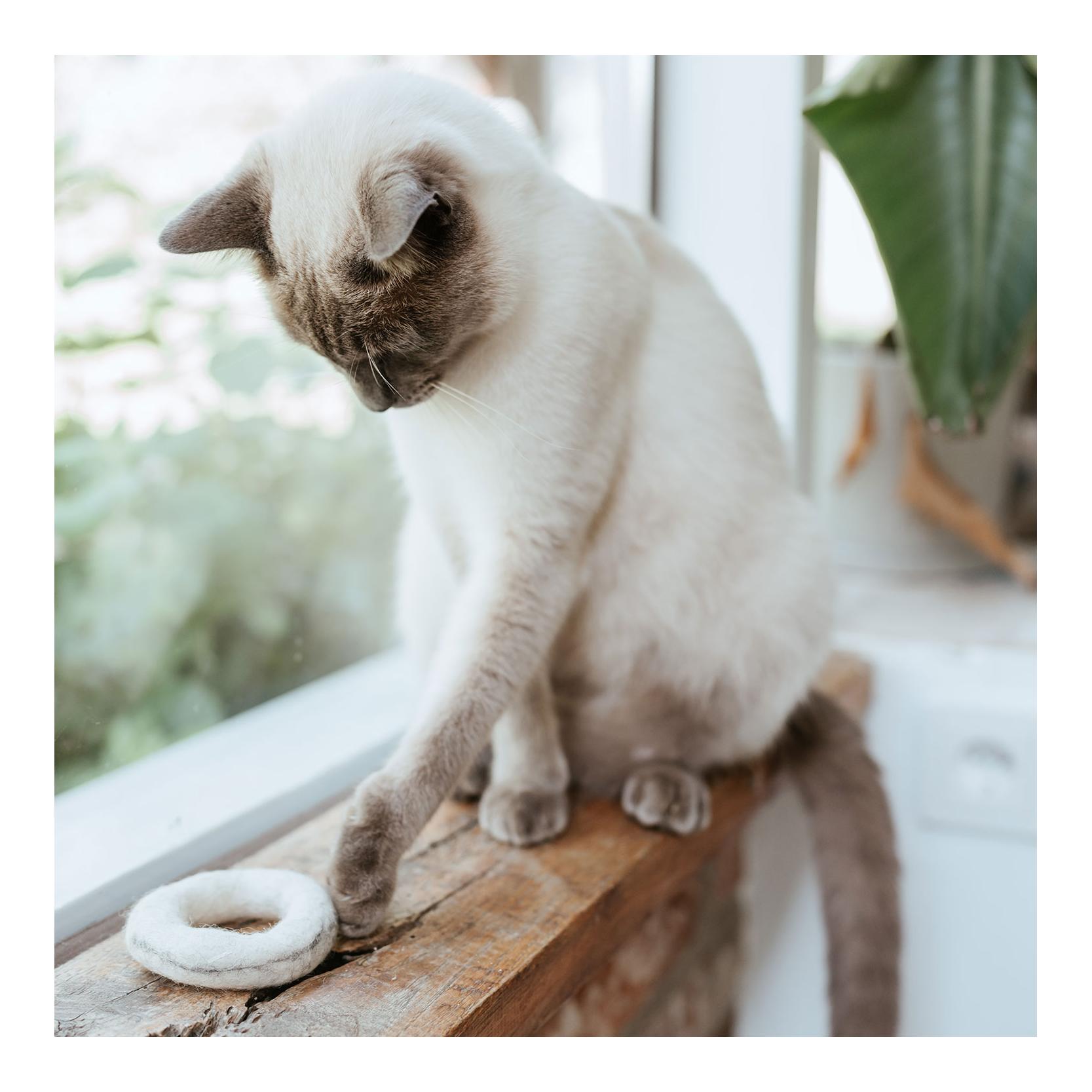 Stylecats by Hunter Jouet pour chats anneau en feutre