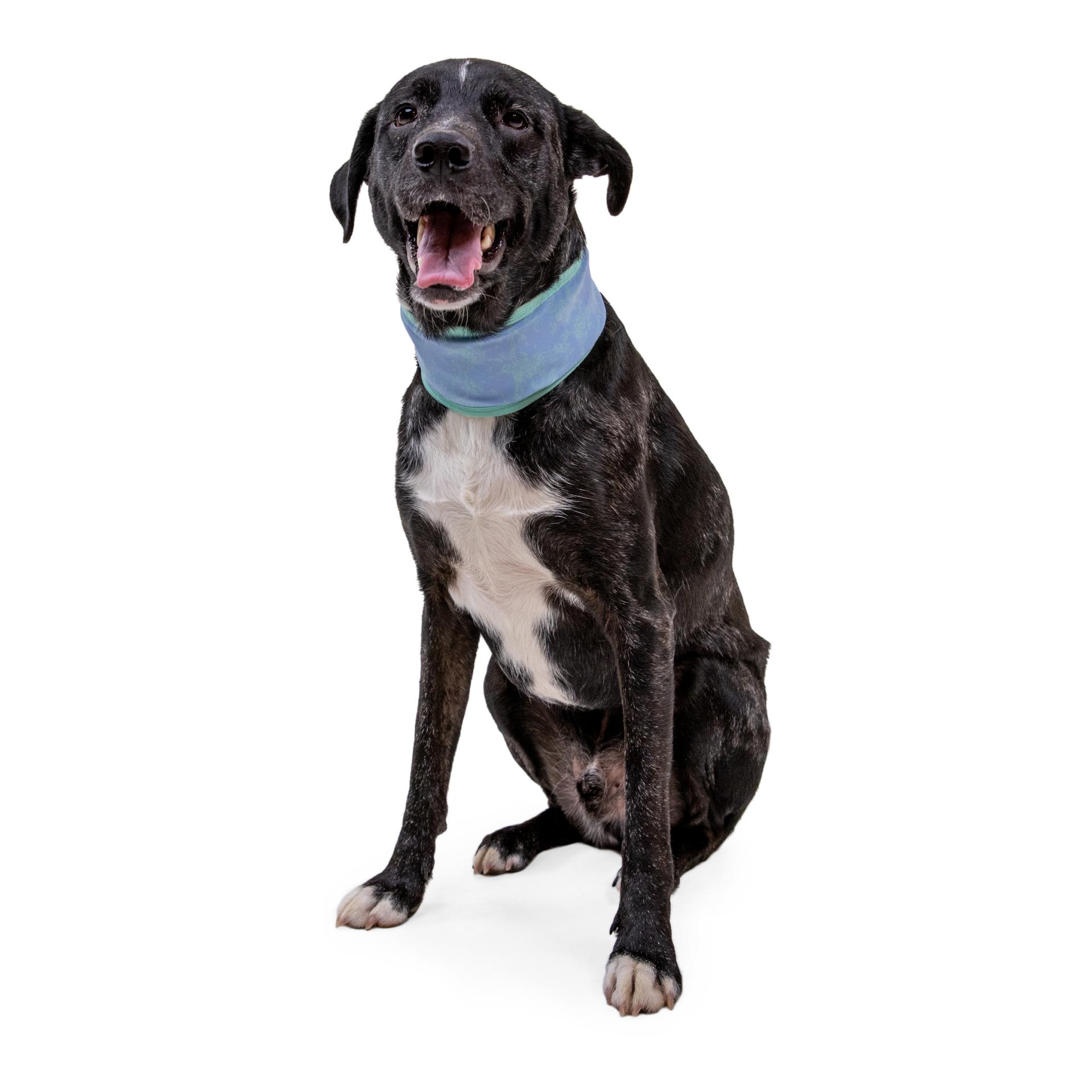 Ruffwear Swamp Cooler™ Halstuch