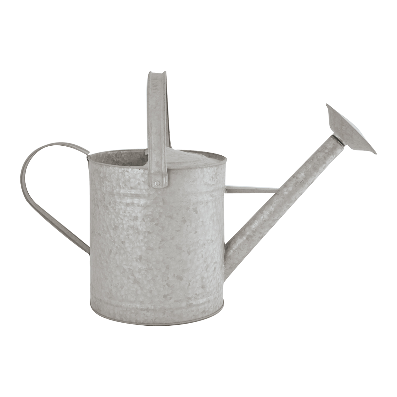 Esschert Arrosoir Zinc Patiné