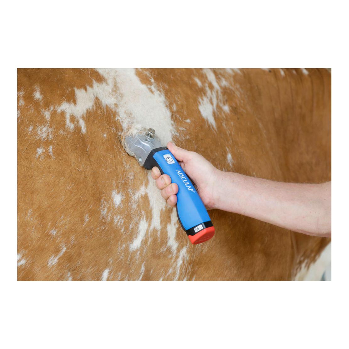 Aesculap Tondeuse sans fil Bonum Rind avec 1 batterie - bleu