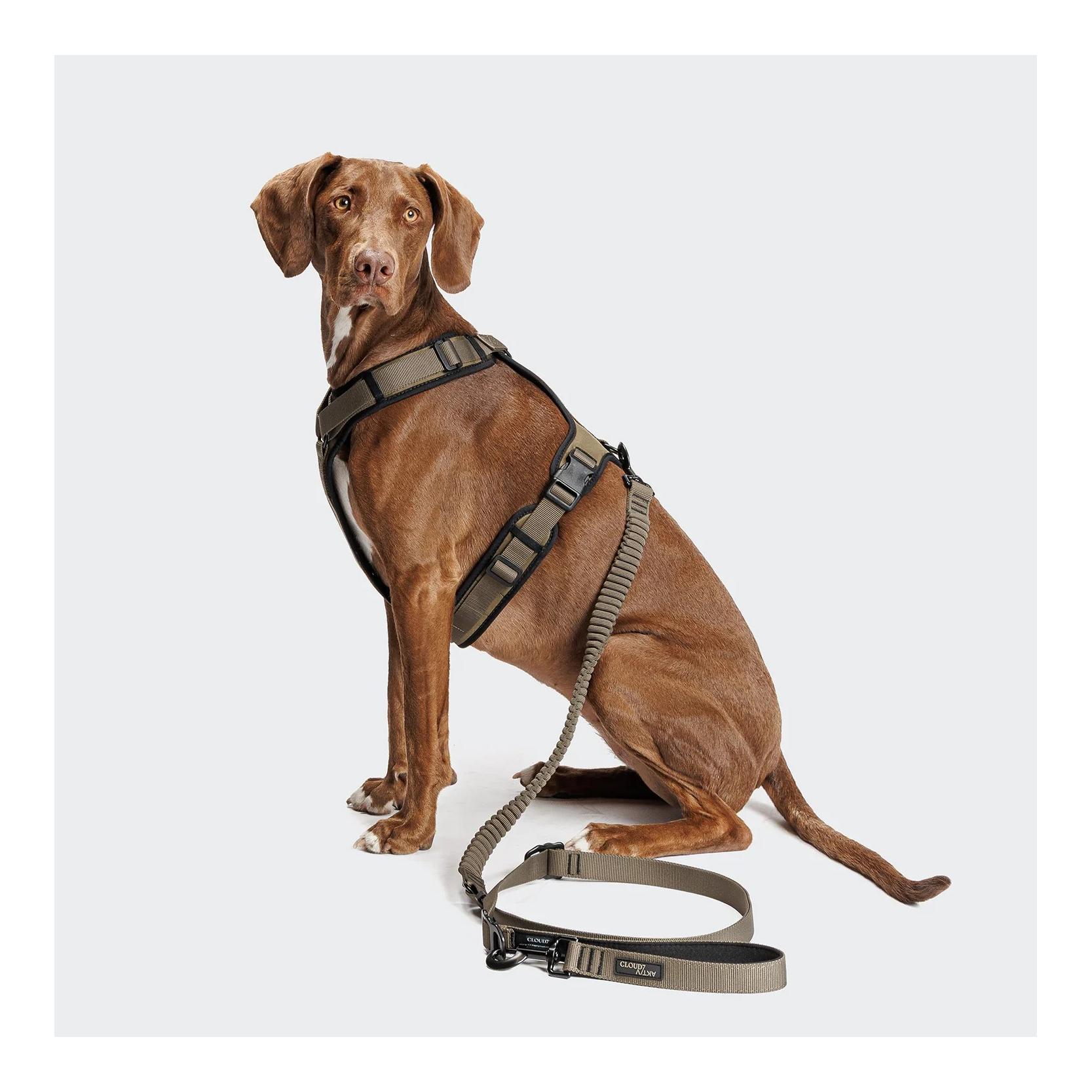 Cloud 7 L-2-Jogging-Hundeleine