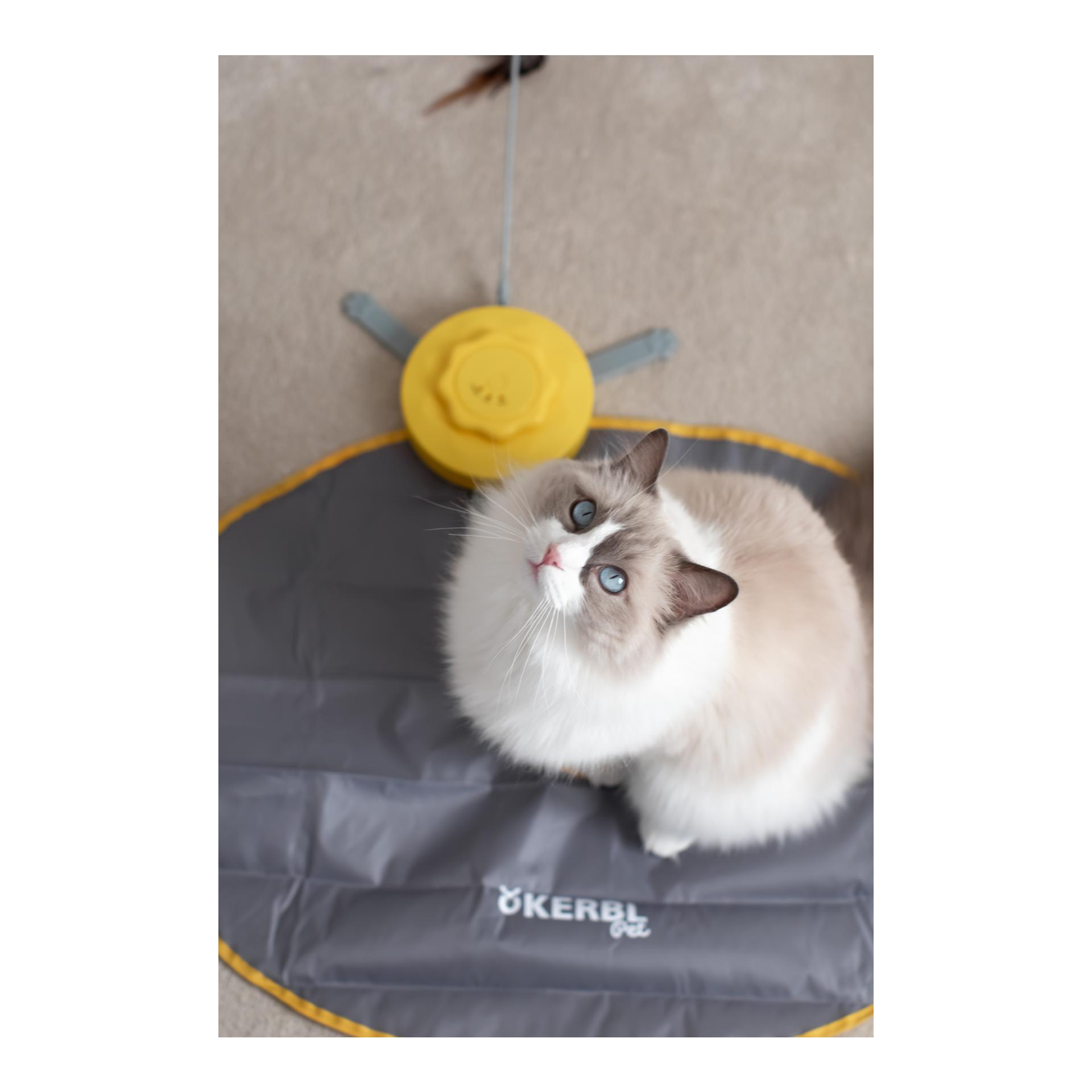 Kerbl Pet Katzenspielzeug automatisch 2in1