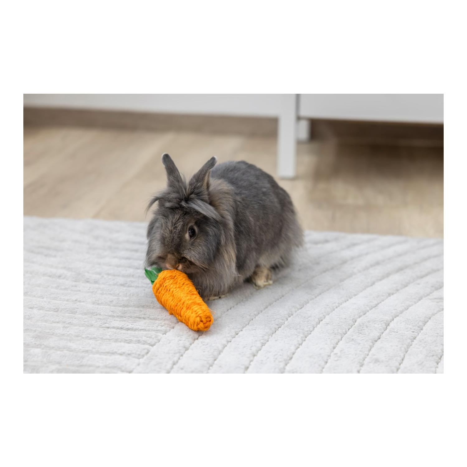 Kerbl Pet Jouets pour rongeurs Carotte Sisal