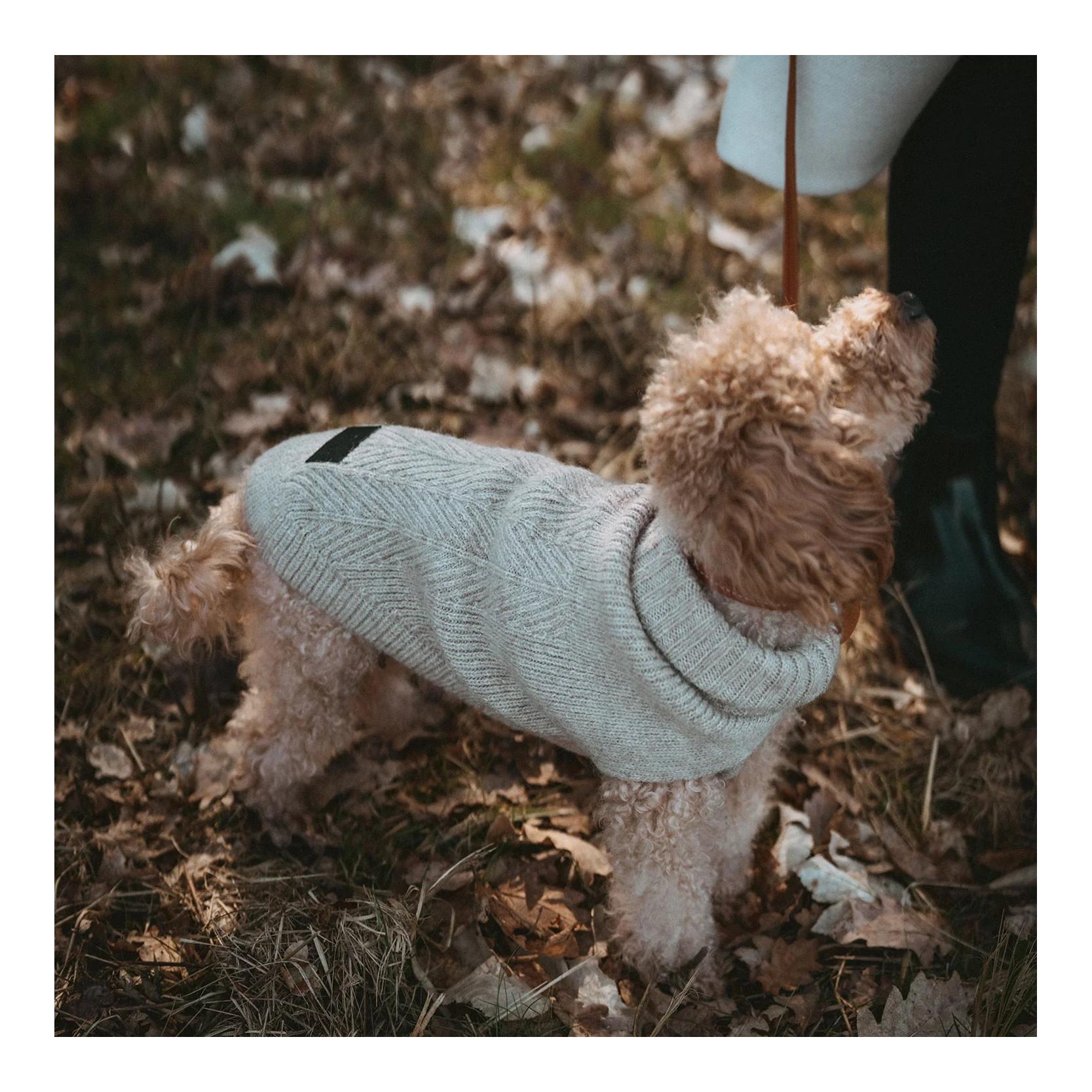 Hunter Pull pour chien Genève